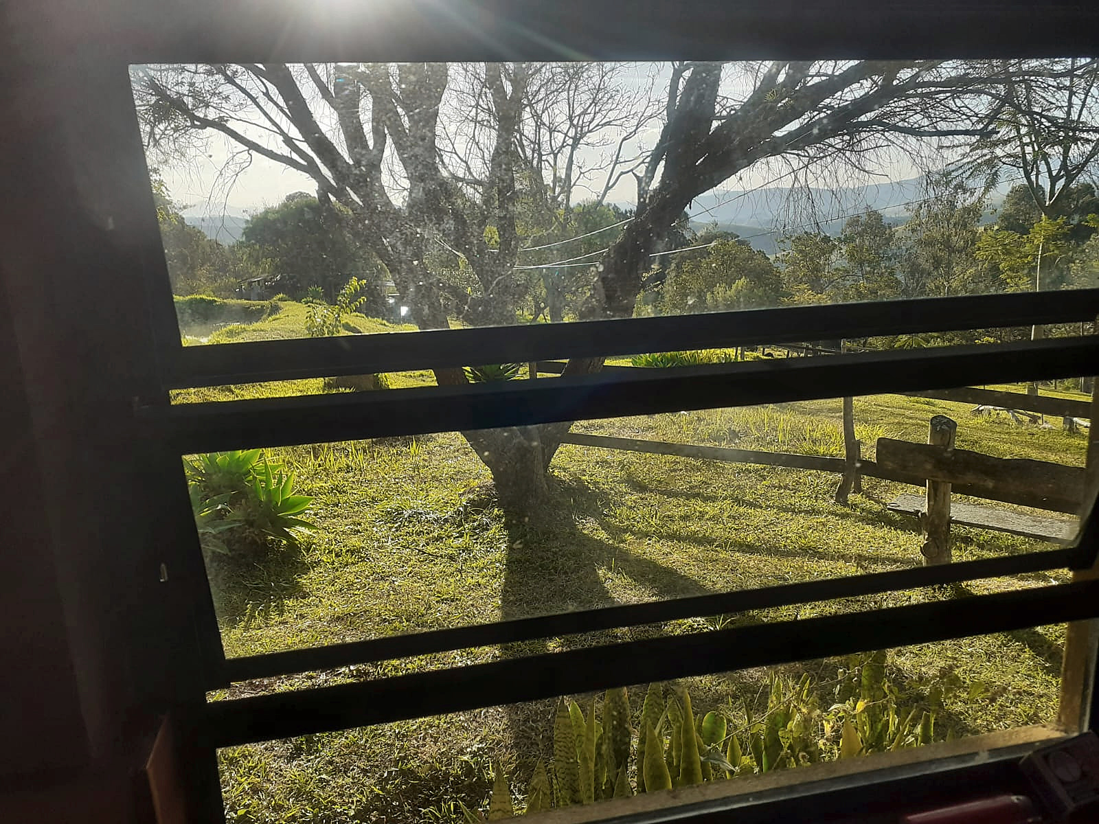 Vista do jardim e árvores pela janela da acomodação